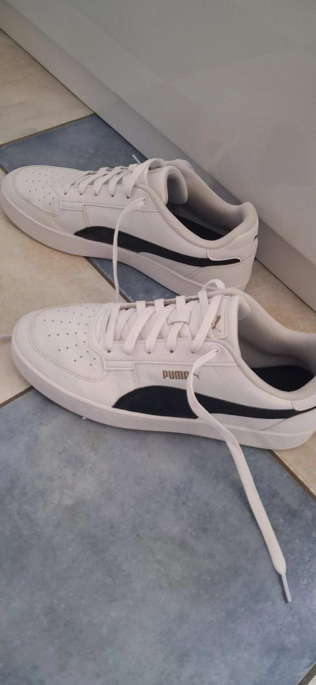 Cesta puma – photo 3